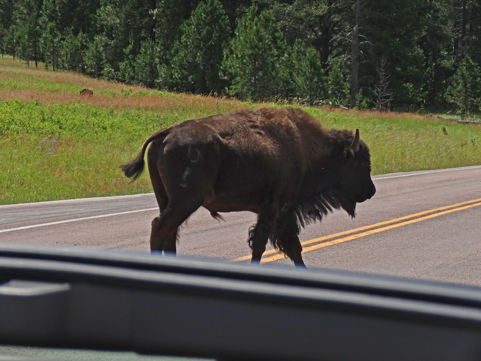 Right behind us, they own the road