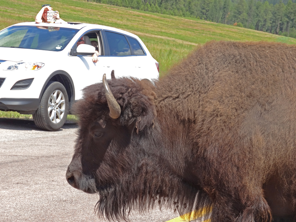 Another one right in front of us