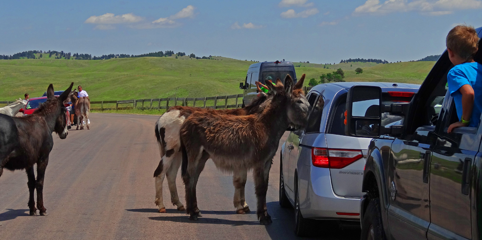 The entitlement program, always looking for a handout