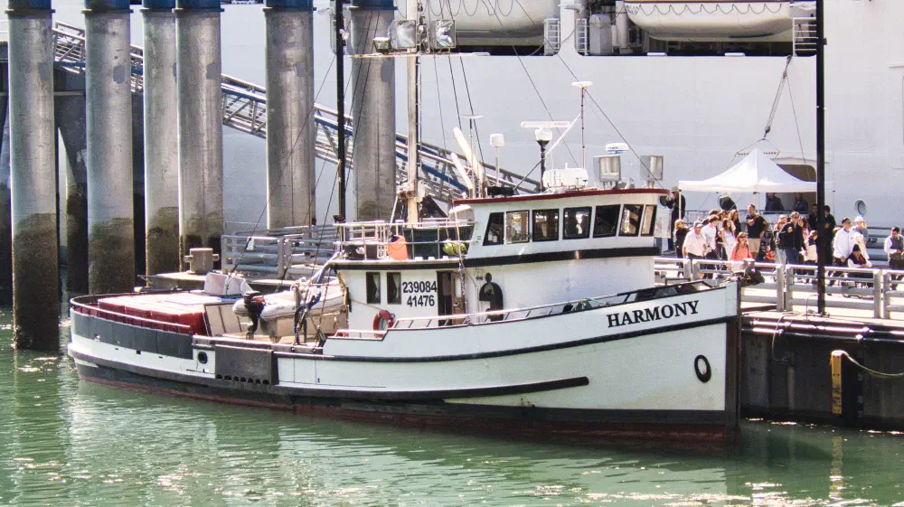 Tribute to our granddaughter, Harmony