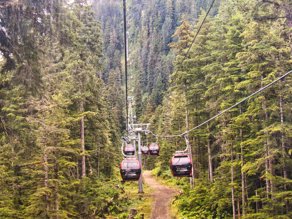 The view from the gondola ... to nowhere